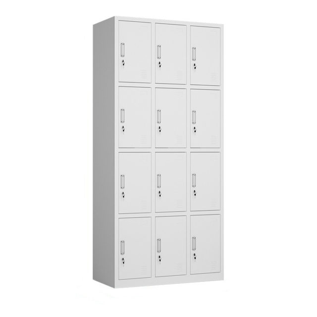 12 Door Gym Lockers