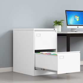 2 Drawer Vertical Filing Cabinet