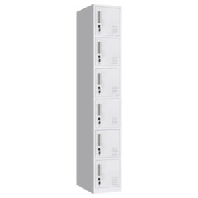 6 Compartment Locker