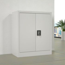 Low Cabinet with 2 Doors